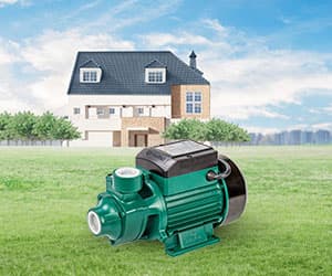 Peripheral Pump