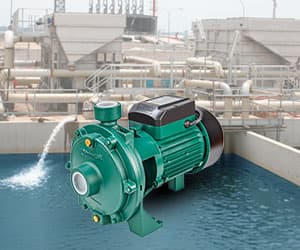 Centrifugal Pump